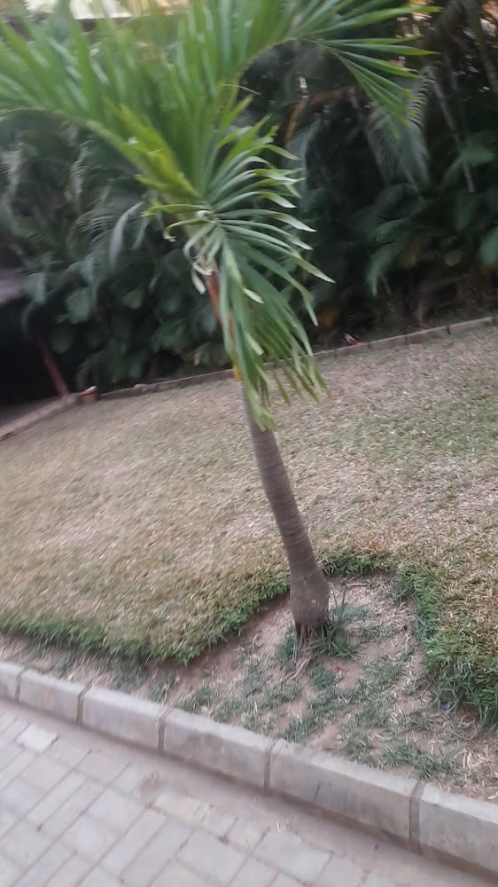 POA Lakeside Resort and Gardens photo 2